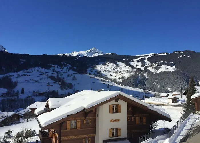 Lejlighed St. Louis 2.5 - Griwarent Ag Grindelwald